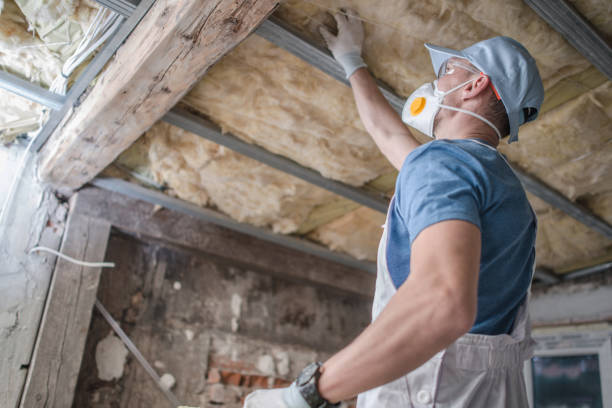 Best Insulation Replacement Services  in Coopersburg, PA