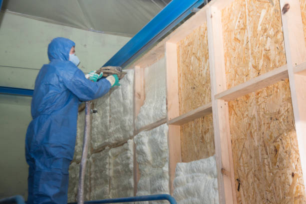 Best Insulation Removal  in Coopersburg, PA
