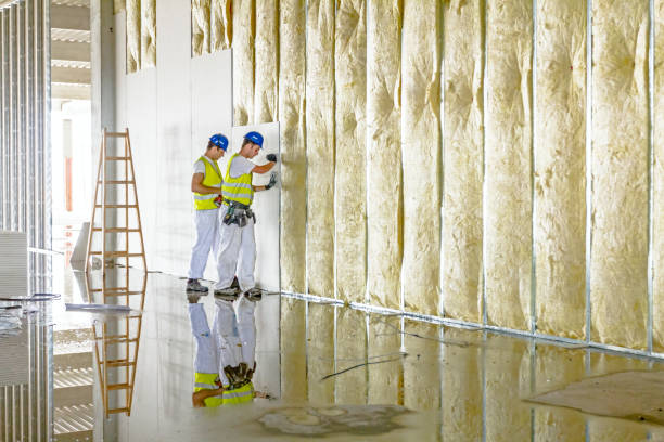 Best Insulation Inspection Services  in Coopersburg, PA